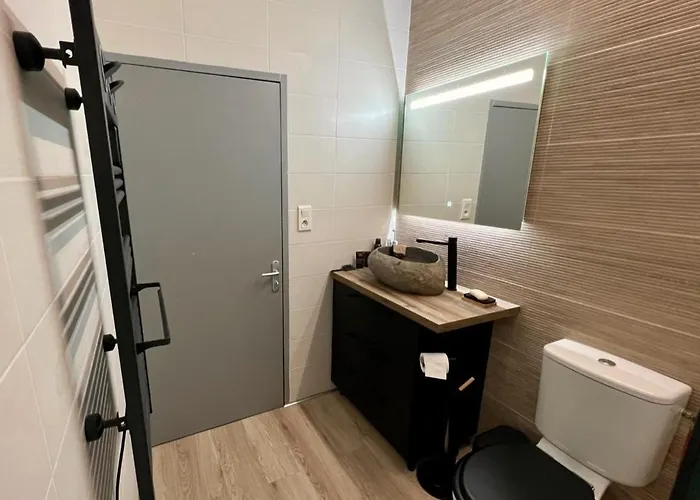 Proche Cathedrale Albi